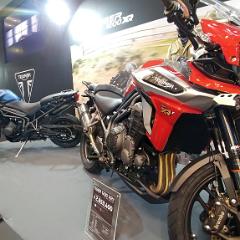 Triumph New Tigers - Speed Triple